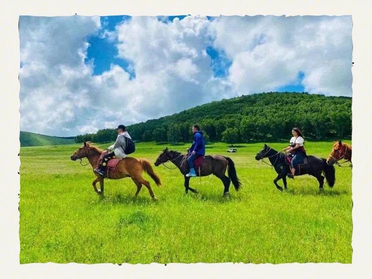 特色草原骑马体验比赛,感受民族风情 特色草原骑马体验比赛,感受民族风情