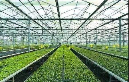 关于青少年足球培训基地建设迈上新台阶的信息 关于青少年足球培训基地建设迈上新台阶的信息