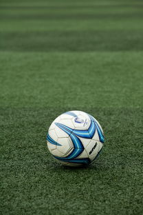 米兰体育-高校体育赛事应急管理体系构建，体育赛事应急预案细则