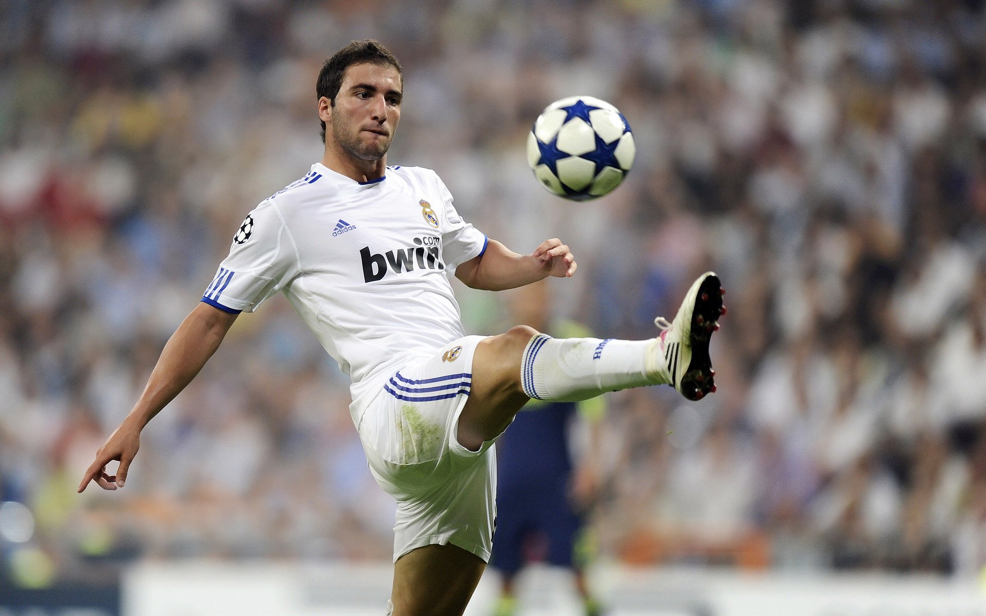 德甲转会热潮：多支球队大幅补强年轻力量，德甲2021年夏季各队转会汇总